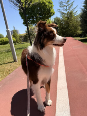 Damla K profil fotoğrafı